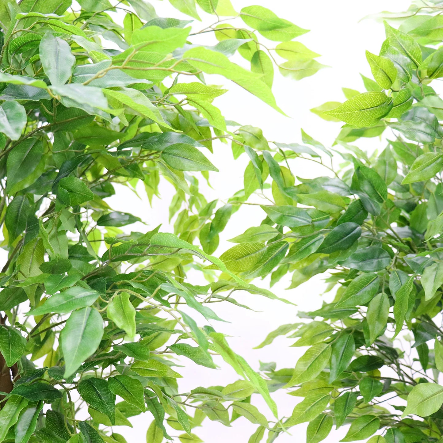 TWISTER Realistic Ficus Tree With Planter For Home Decor